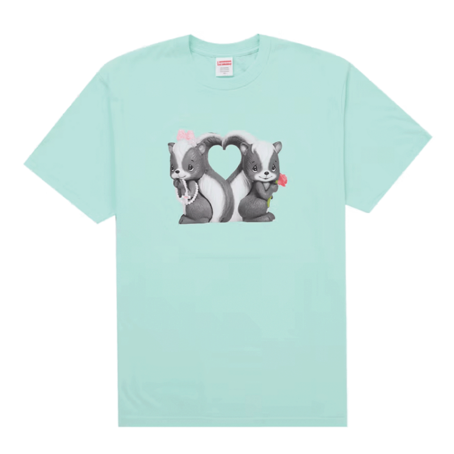Supreme Skunk Tee Mint