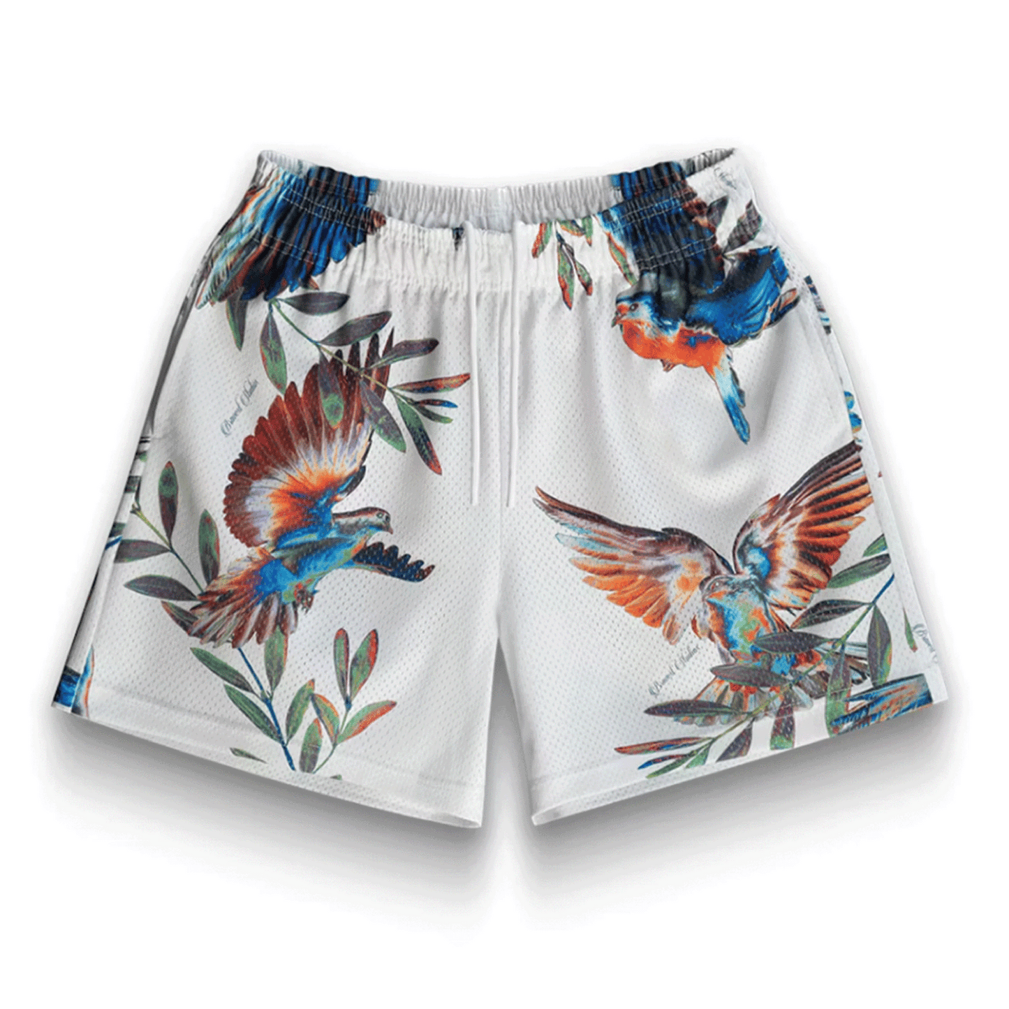 Bravest White Birds Of Paradise Shorts