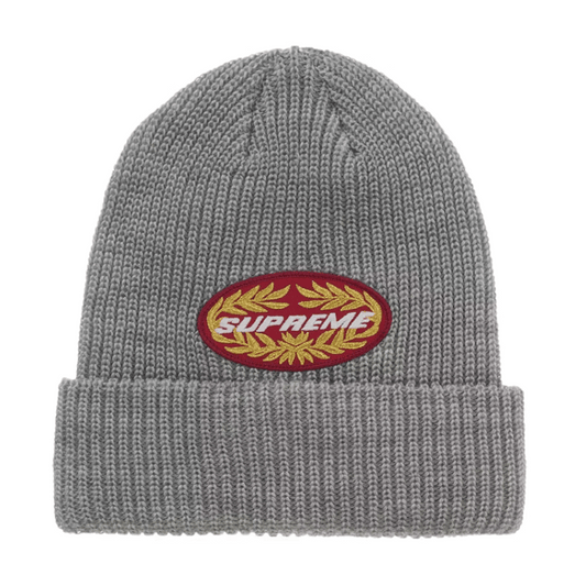 Supreme Terminal Beanie (SS26) Grey