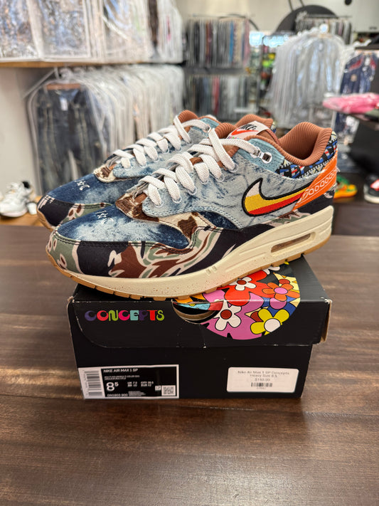 Nike Air Max 1 SP Concepts Heavy