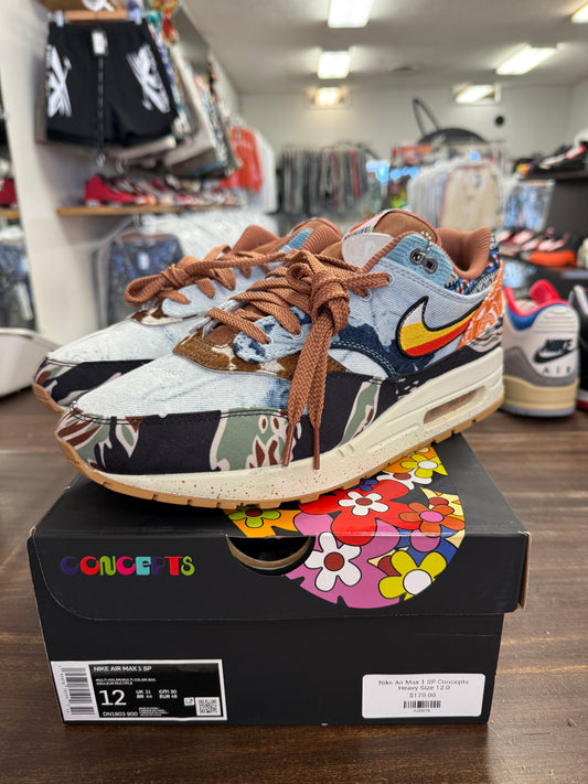 Nike Air Max 1 SP Concepts Heavy