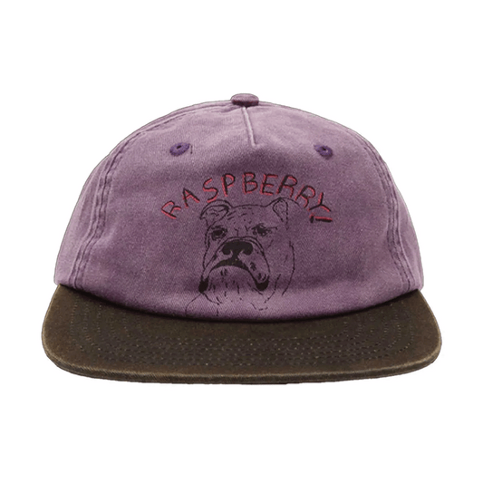 GV Gallery Bulldog Hat Purple