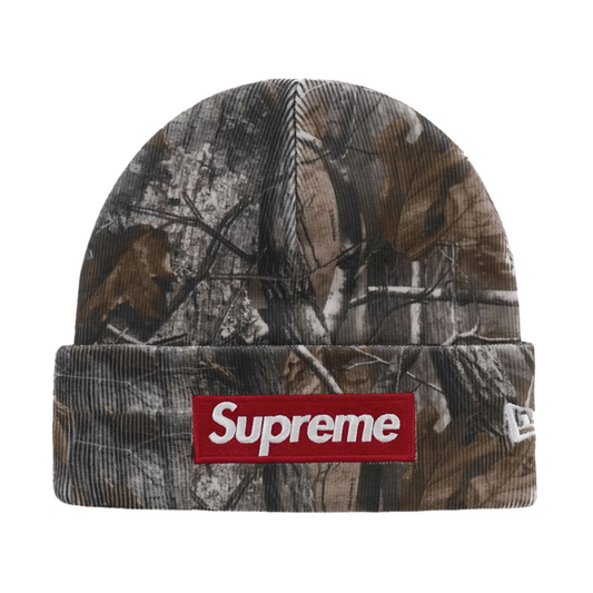 Supreme New Era Box Logo Beanie (FW25) Realtree AP Camo
