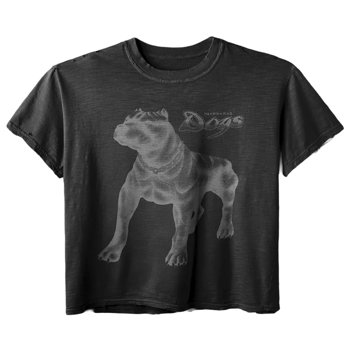GV Gallery Black DogHouse Tee