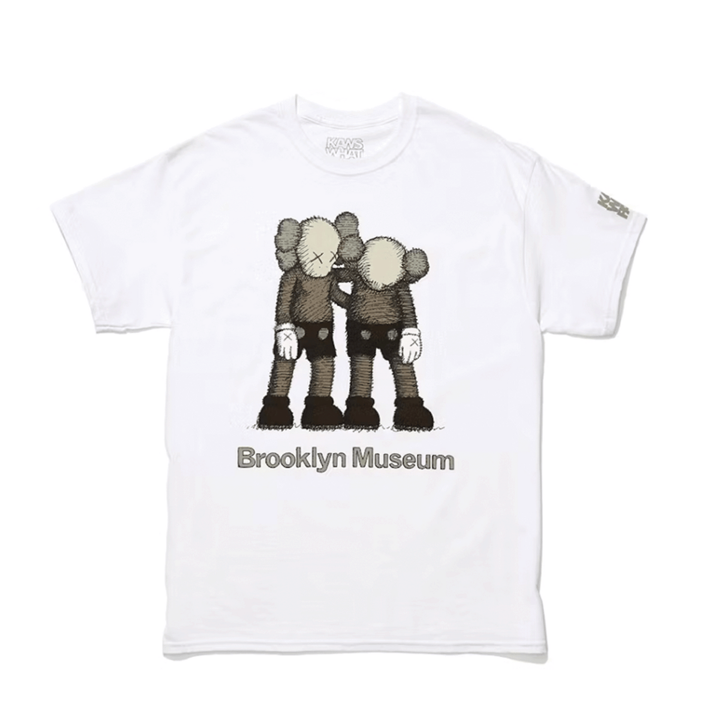 KAWS Brooklyn Museum Along The Way