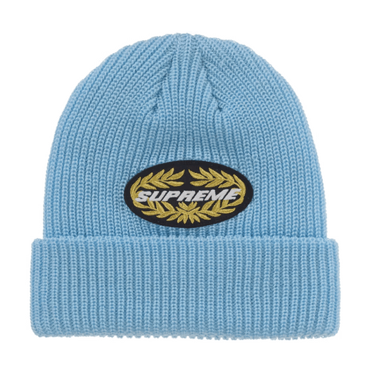 Supreme Terminal Beanie (SS26) Light Blue