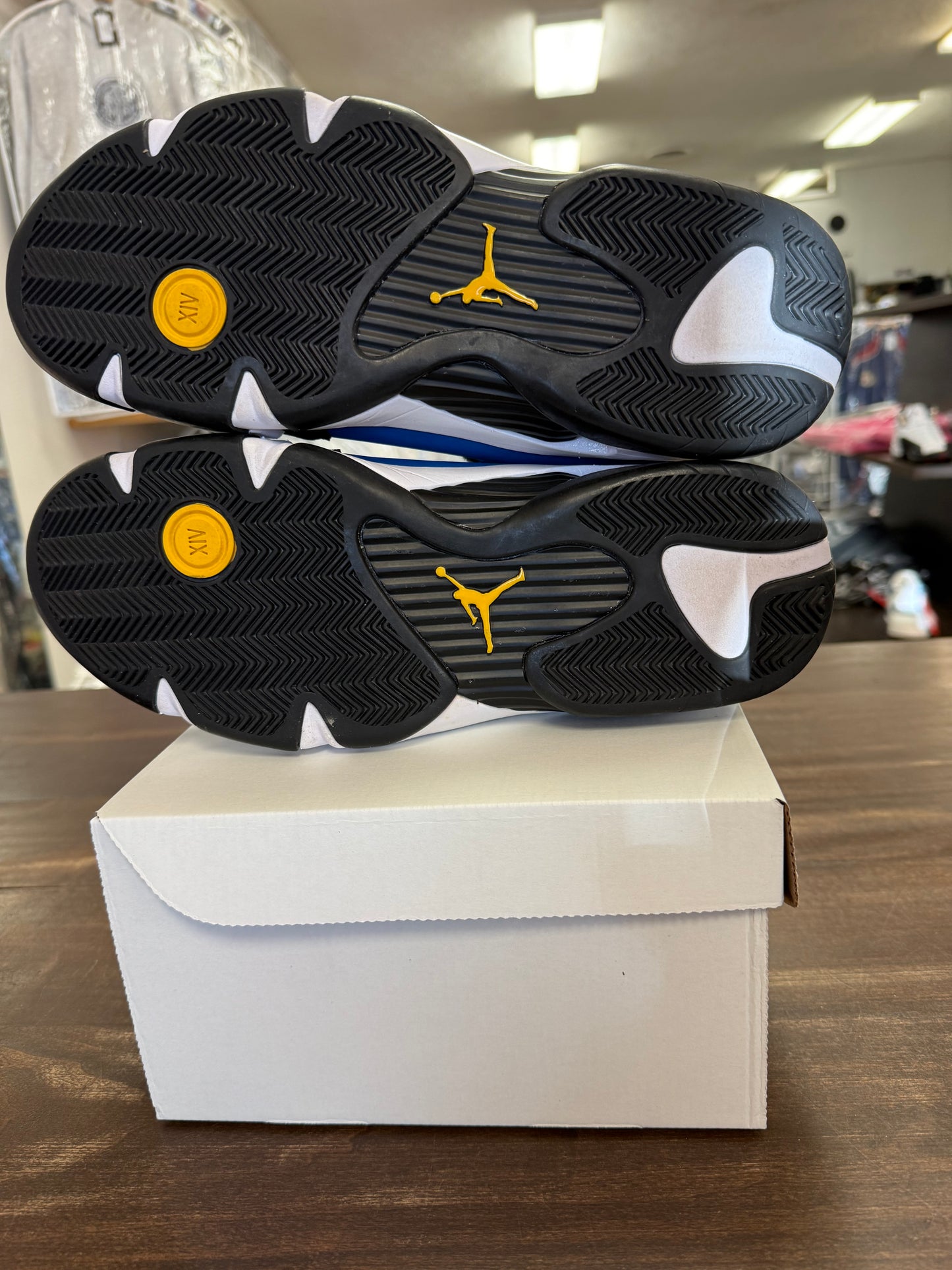 Jordan 14 Retro Laney (2023)