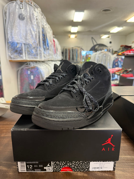 Jordan 3 Black Cat (2025)