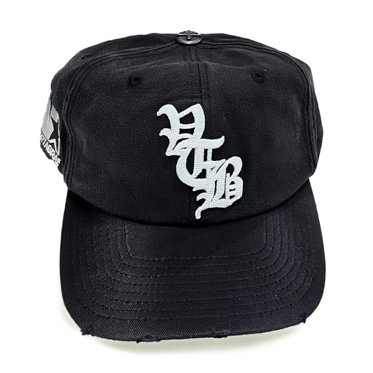 Vertabrae Midnight Snapback